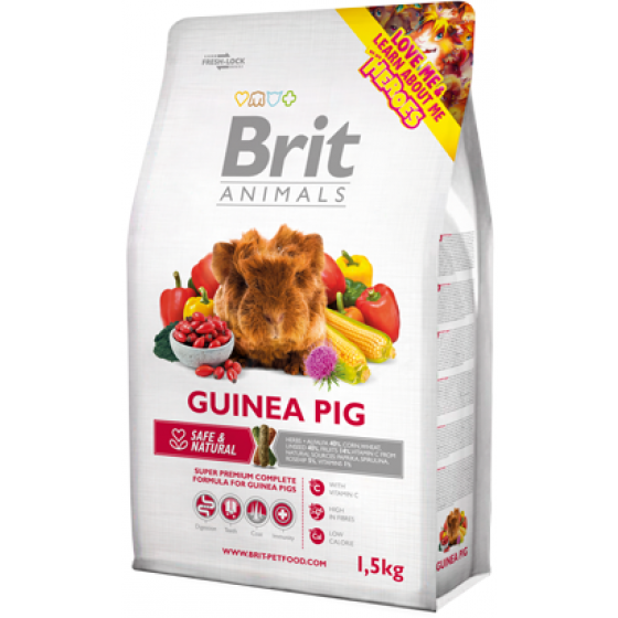 BRIT Animals - Guinea Pig