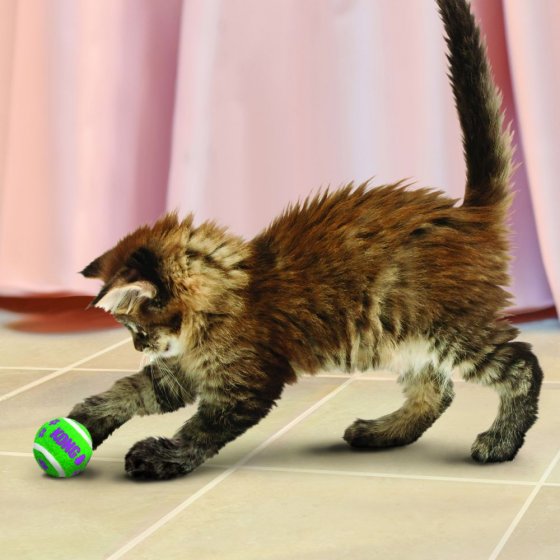 KONG Cat Active Tennis Ball