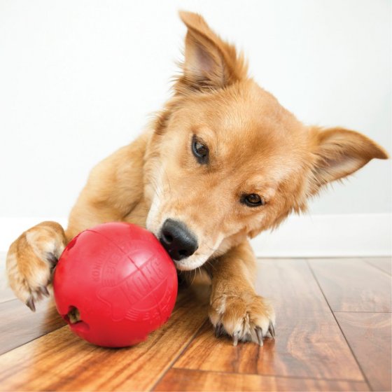 KONG Red Rubber Biscuit Ball