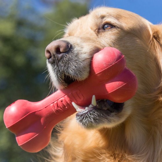 KONG Red Rubber Goodie Bone