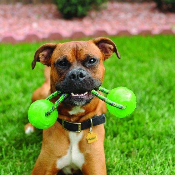 KONG Squeezz Ball c/ Corda