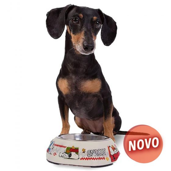 Snoopy Gamela Inox - Woodstock