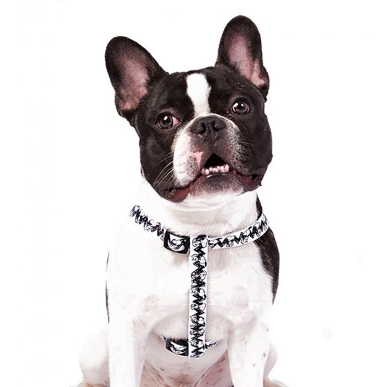 SNOOPY Peitoral - Branco