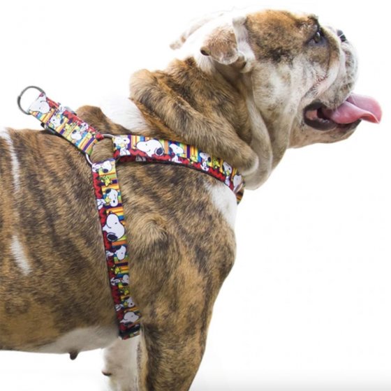 SNOOPY Peitoral - Stripe