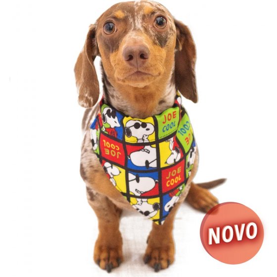 SNOOPY Bandana - Joe Cool