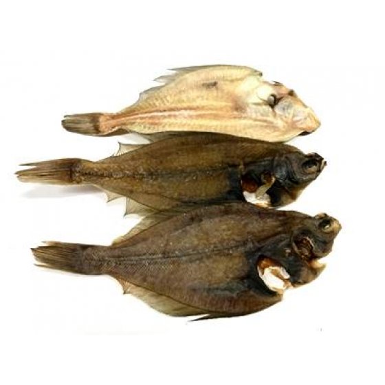 Solha (100% peixe) 🐟