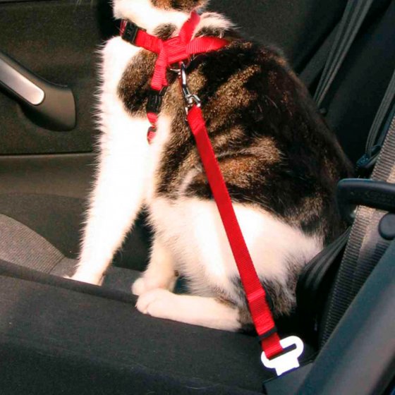 TRIXIE Cinto Segurança para Gatos