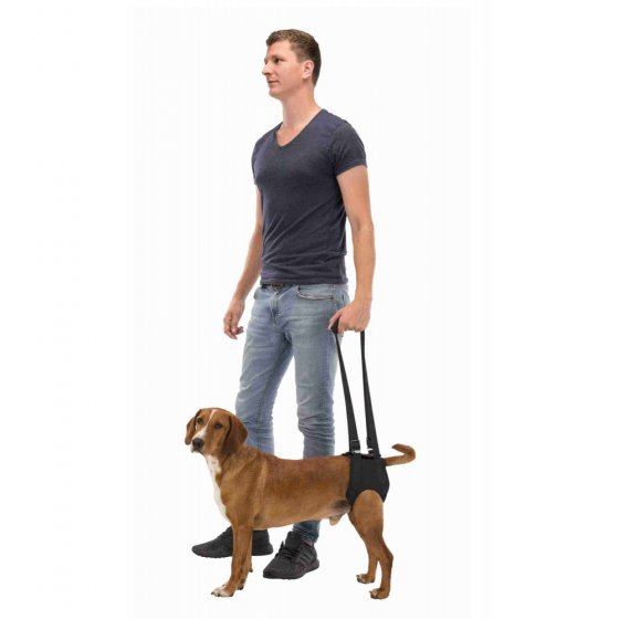 TRIXIE Arnês de Reabilitação - Apoio para Caminhar