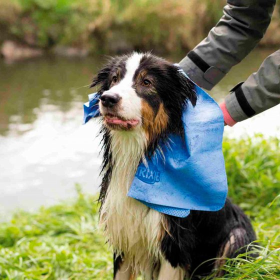 TRIXIE Toalha para Enxaguar 66x43 cm