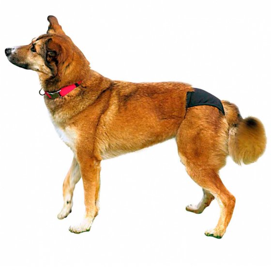 TRIXIE Slip Higienico de Luxo Preto