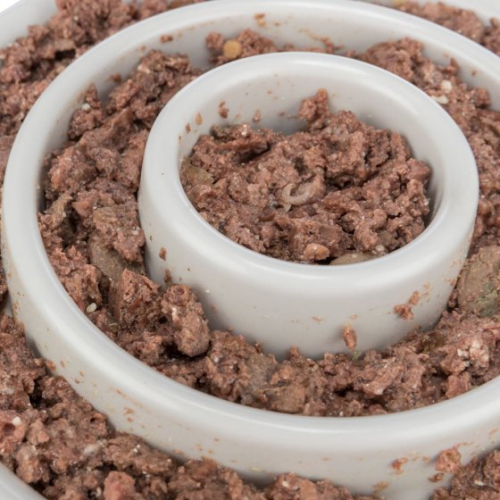 Trixie Gamela Slow Feed em Plástico