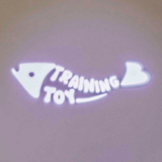 TRIXIE Apontador LED Catch The Light