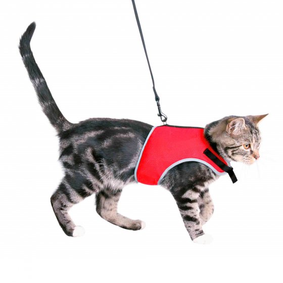 TRIXIE Peitoral+Trela XCat em Nylon para Gatos
