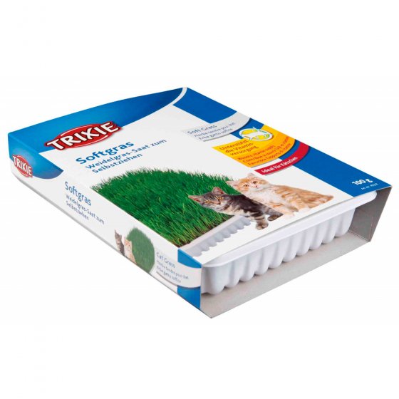 TRIXIE Erva Gateira Tenra 100gr
