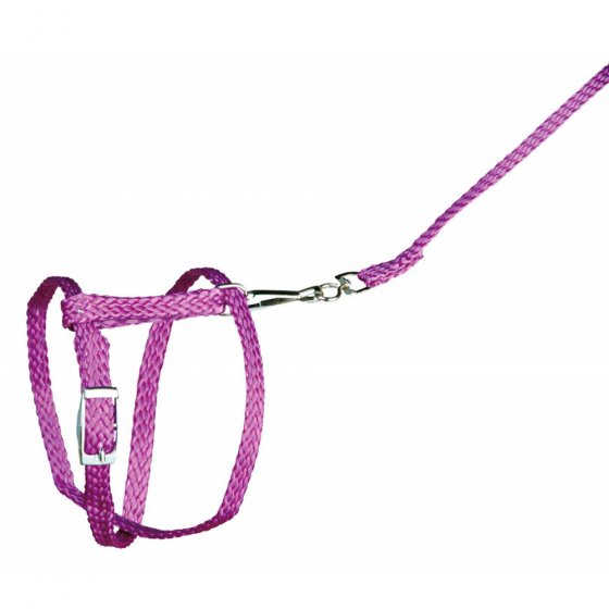 TRIXIE Trela+Peitoral para Coelhos Anões e Porquinhos-da-Índia