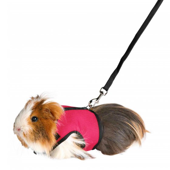 TRIXIE Peitoral com Trela Elástica para Roedores