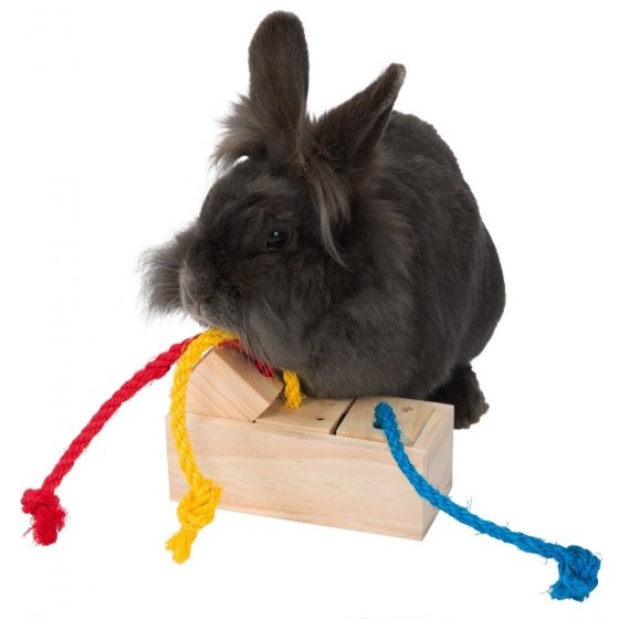 TRIXIE Snack Cube em Madeira para Roedores