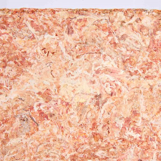 TRIXIE Musgo Sphagnum - Substrato Tropical