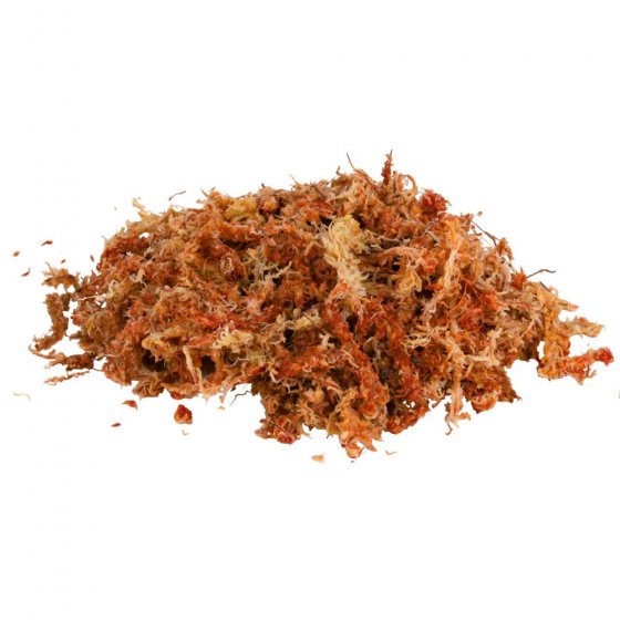 TRIXIE Musgo Sphagnum - Substrato Tropical