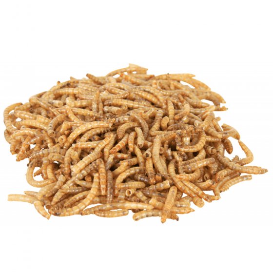 TRIXIE Vermes da Farinha para Répteis