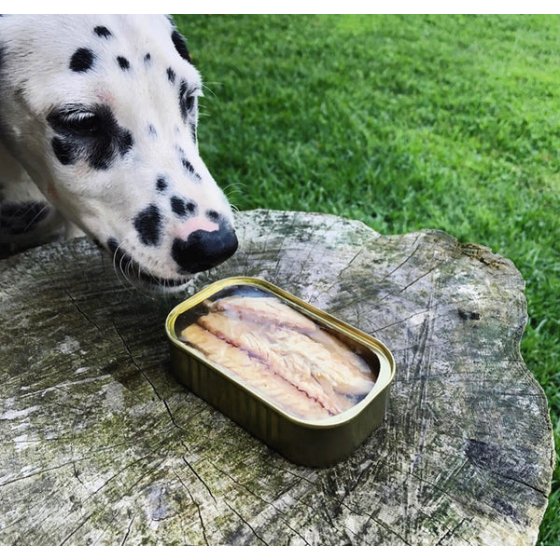Lata de Filetes de Cavala ao natural da Costa Atlântica 100% natural em conserva para cão - Canumi (Coração e Defesas)