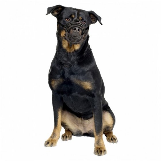 Duvo+ Açaime Para Cão