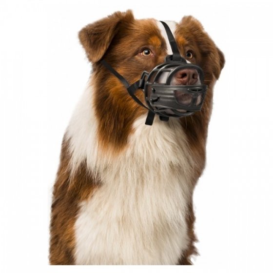 Duvo+ Açaime Para Cão
