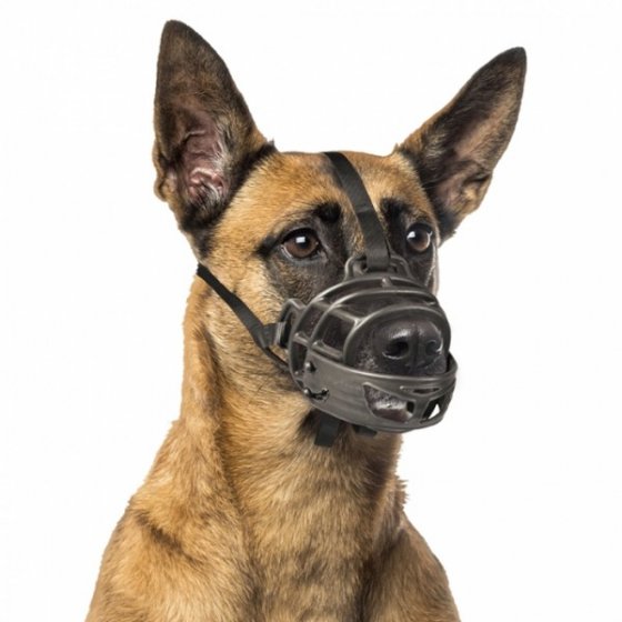 Duvo+ Açaime Para Cão