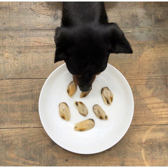 Lata de Mexilhão de Lábios Verdes ao natural 100% natural em conserva para cão - Canumi (Ossos e Articulações)