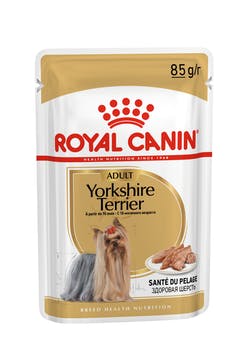 Royal Canin Yorkshire Terrier Adult - Ração Húmida