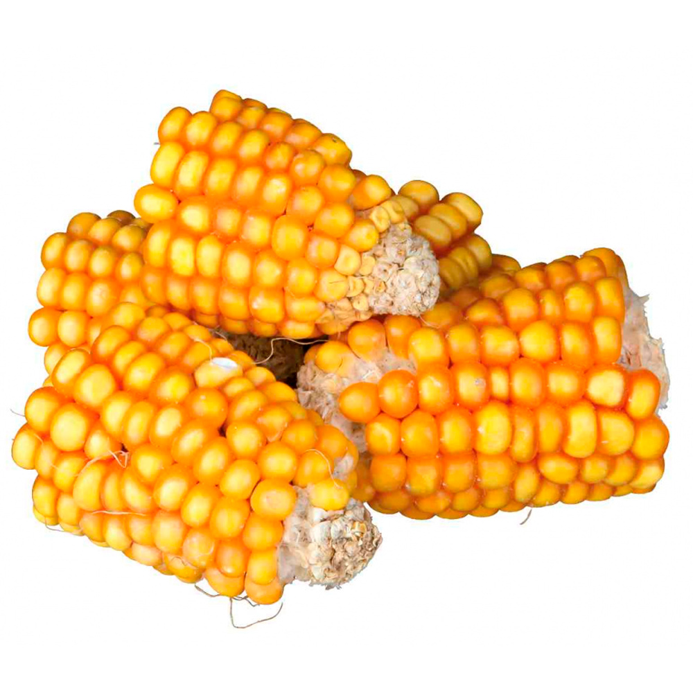 TRIXIE Natur Snack - Pedaços de Espigas de Milho