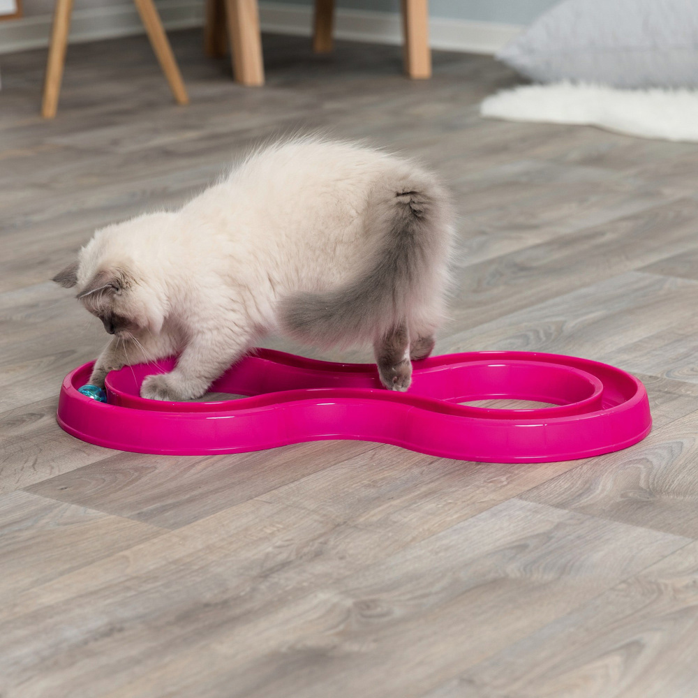 TRIXIE Brinquedo Flashing Ball Race
