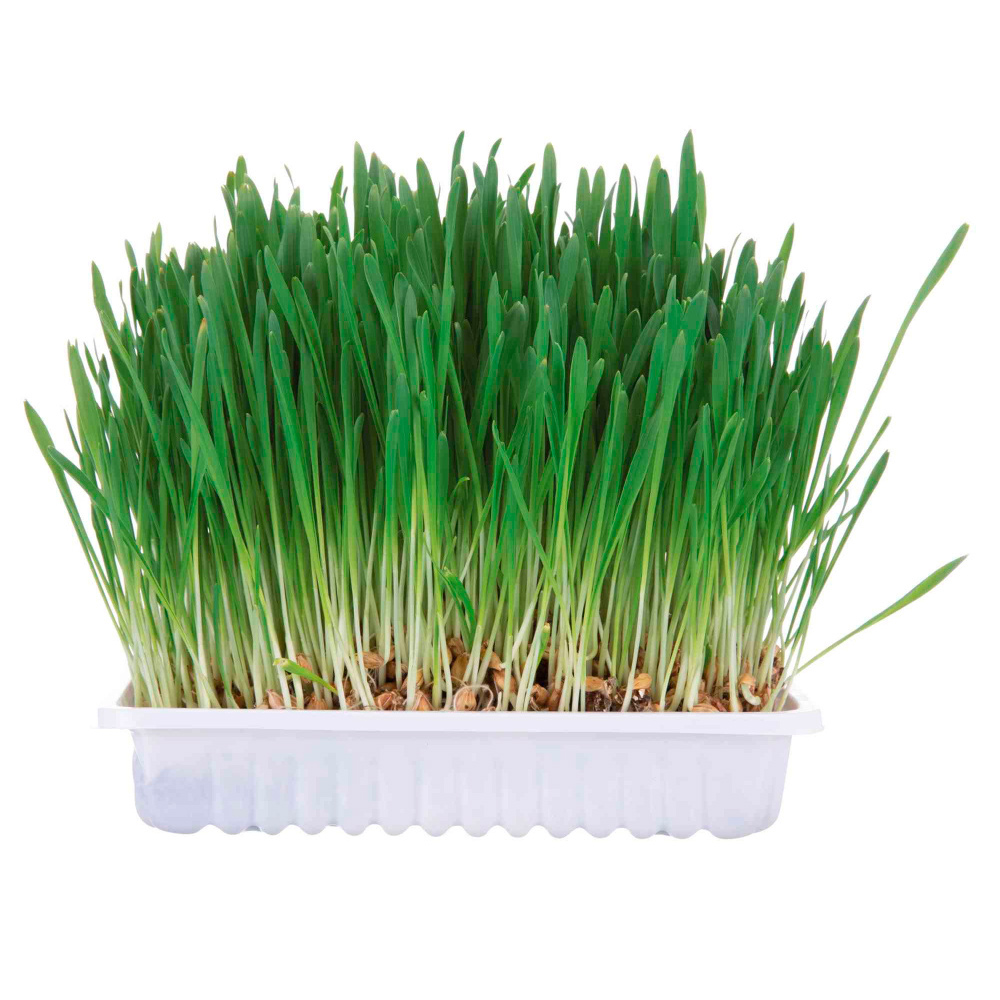 TRIXIE Tabuleiro de Ervas para Roedores - 100 gr