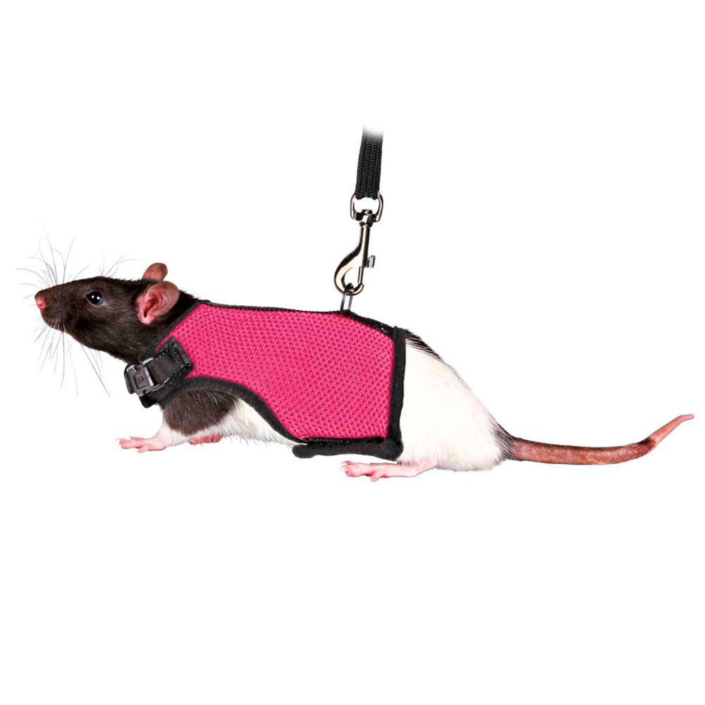 TRIXIE Peitoral com Trela Elástica para Roedores